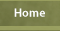 Navigationsbutton Home